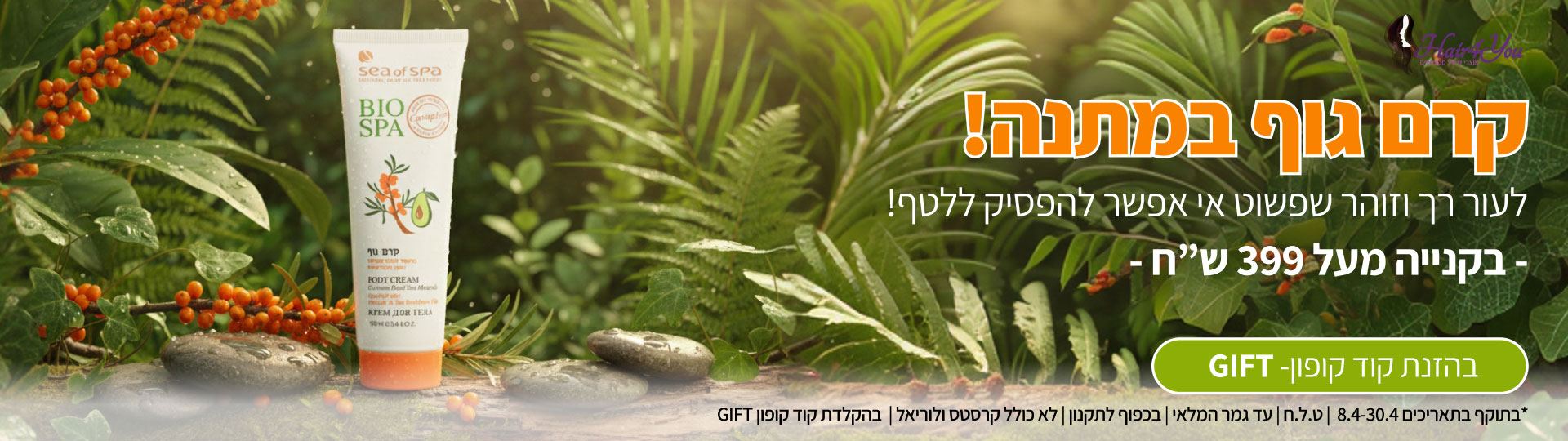 ��� ��� ����