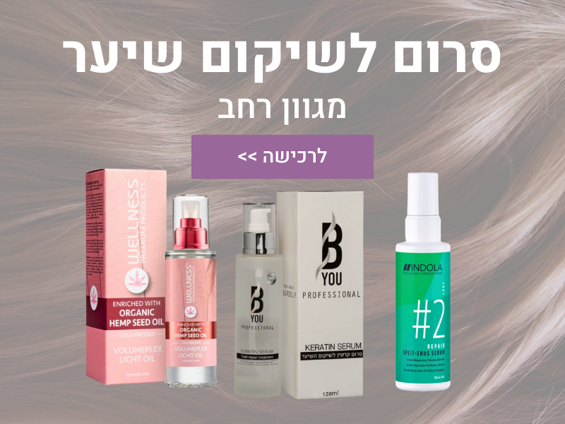 ���� ������ ���� ����� ���